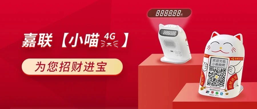 【嘉联小喵】双屏收款云音箱来啦！高效收款，强力引流！